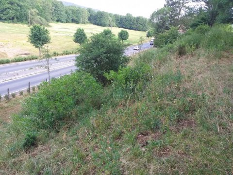 débroussaillage de terrains en friche