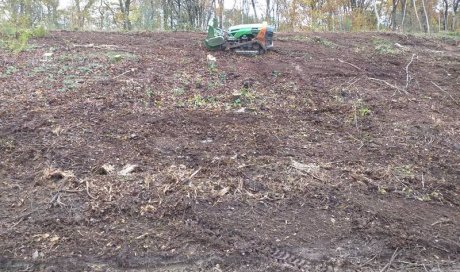 Débroussaillage foret à Besançon
