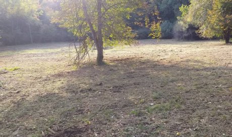 Nettoyage clairière pour le gibier à Besançon