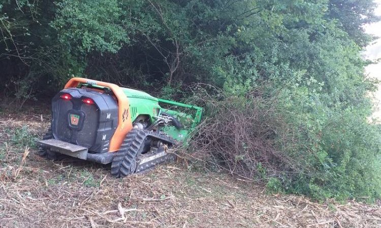 Débroussaillage foret à Besançon