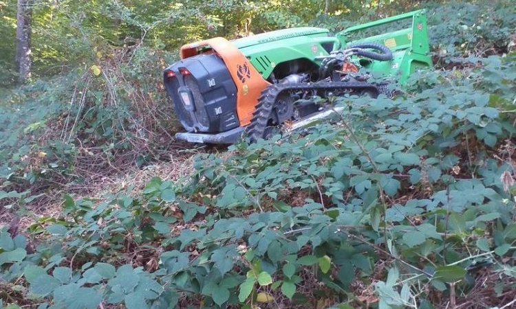 Débroussaillage foret à Besançon