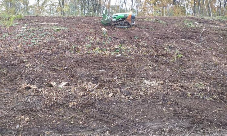 Débroussaillage foret à Besançon