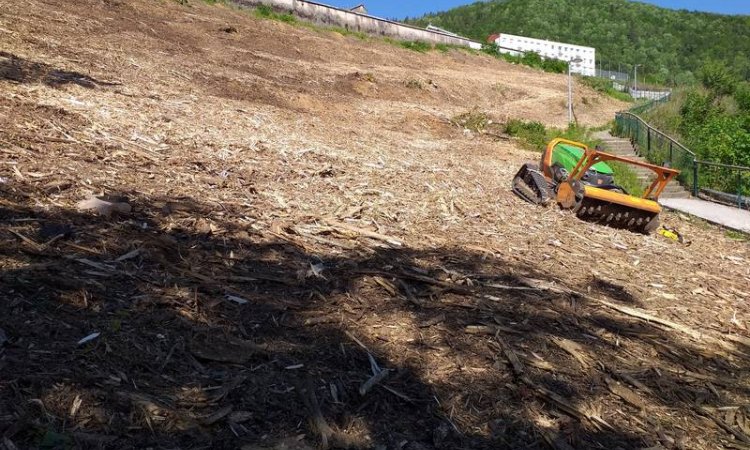 Débroussaillage d'un talus en ville à Besançon