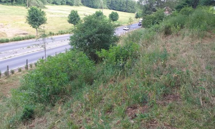 Débroussaillage terrain en pente à Besançon