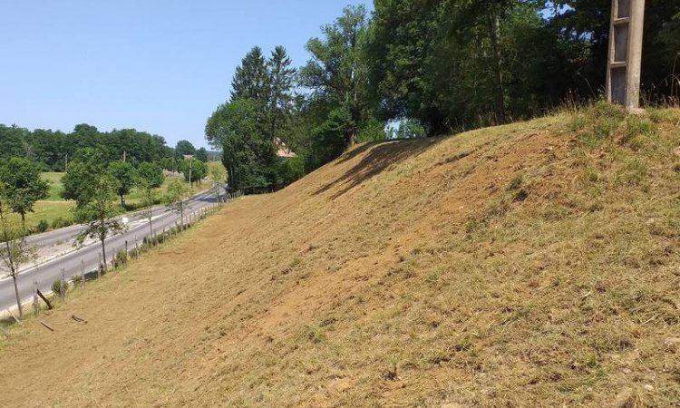 Débroussaillage terrain en pente à Besançon