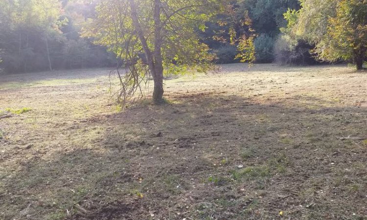 Nettoyage clairière pour le gibier à Besançon