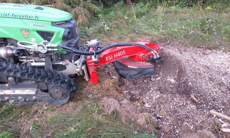 Rognage de souches d'arbre coupés à Besançon
